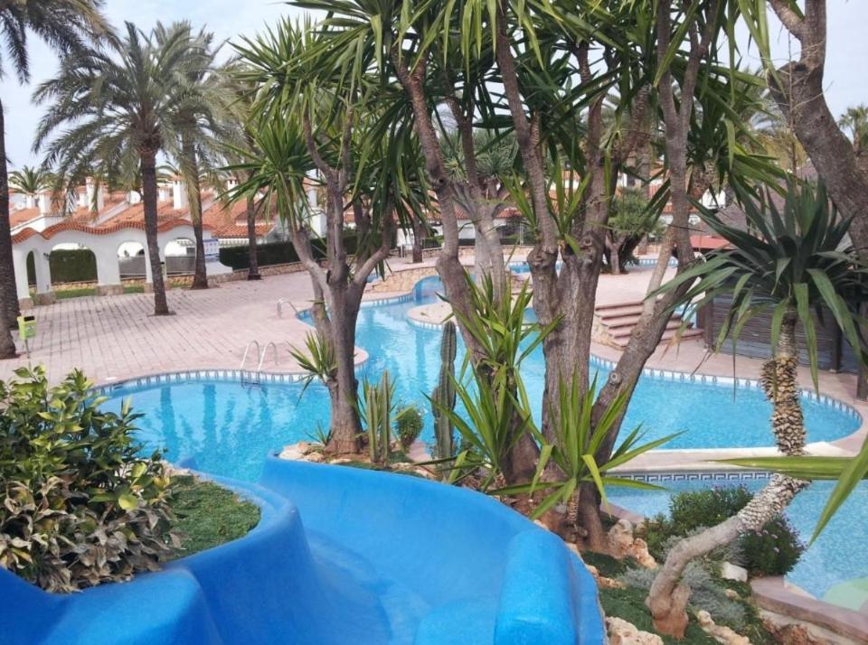 Palmar Căn hộ